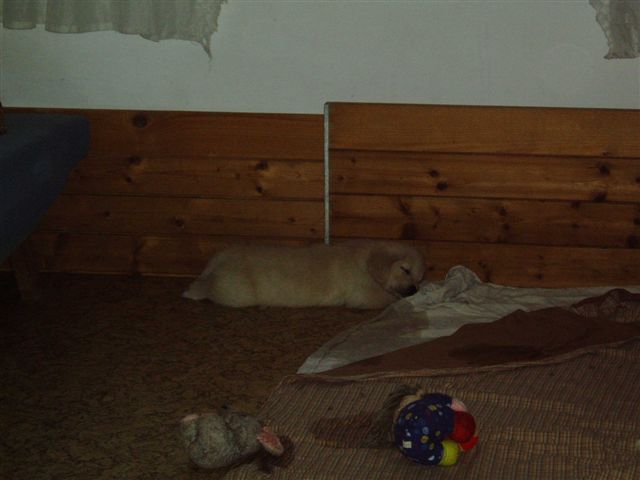 290306 008.jpg