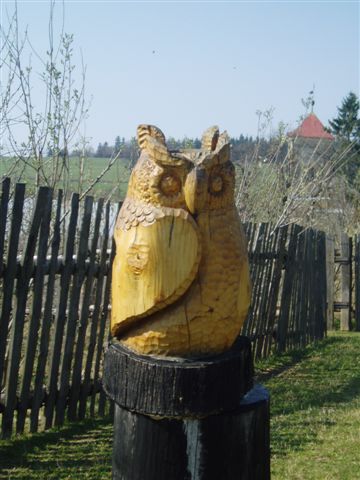 Sova