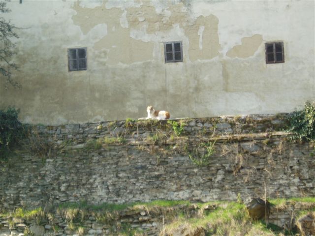 Hrad Sovinec - Barzoj
