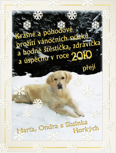 PF2010.jpg